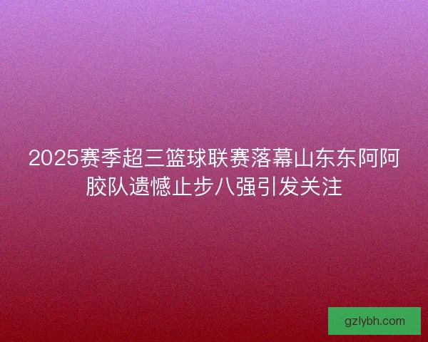 2025赛季超三篮球联赛落幕山东东阿阿胶队遗憾止步八强引发关注