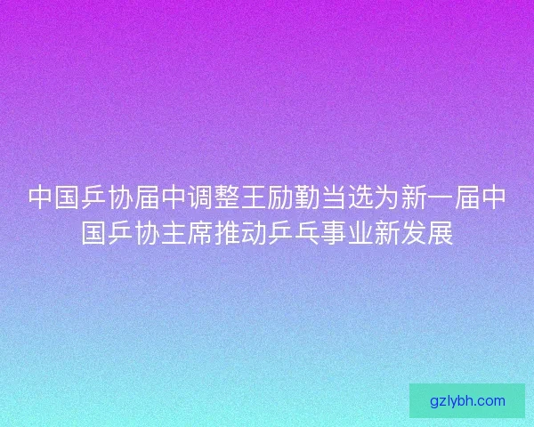 中国乒协届中调整王励勤当选为新一届中国乒协主席推动乒乓事业新发展